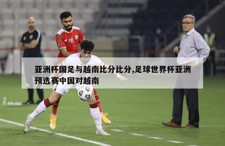 亚洲杯国足与越南比分比分,足球世界杯亚洲预选赛中国对越南